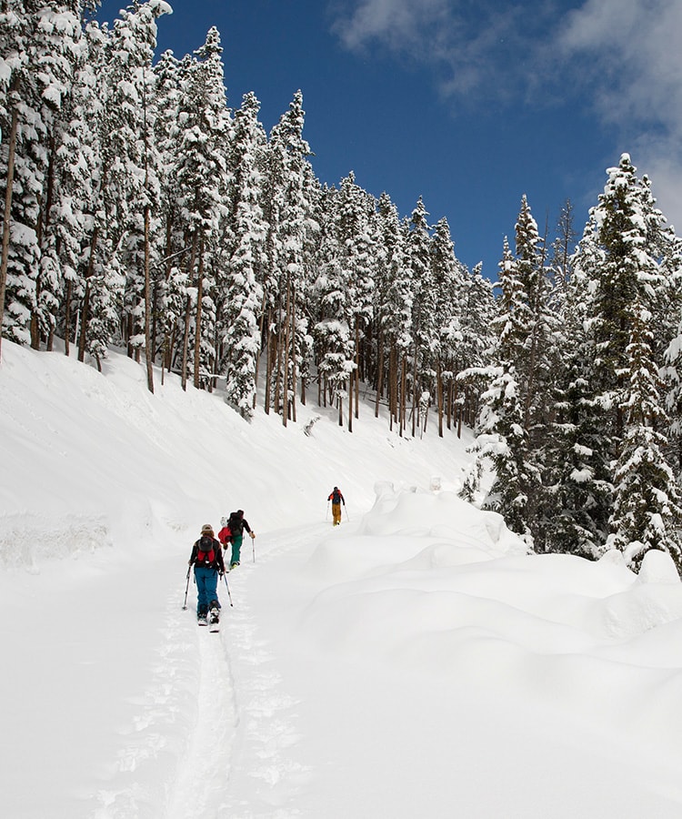 Group of skiers on snowy Colorado mountain