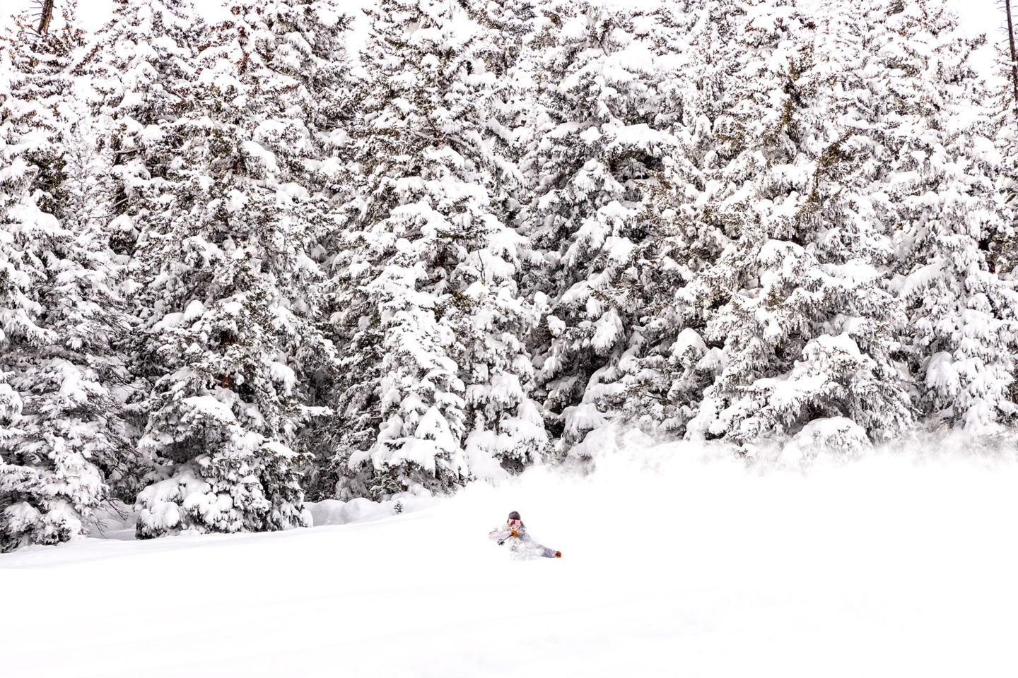 Skier skiing on a mountain with snowy trees towering in the background